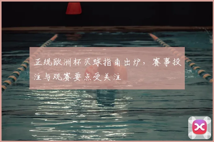 正规欧洲杯买球指南出炉,赛事投注与观赛要点受关注