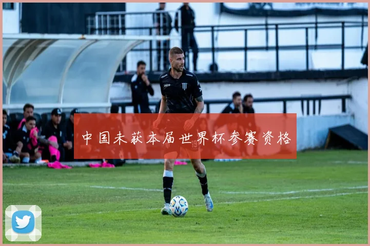中国未获本届世界杯参赛资格
