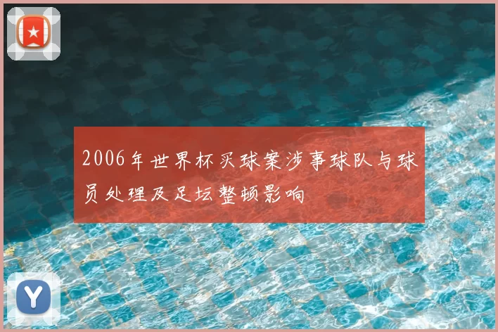 2006年世界杯买球案涉事球队与球员处理及足坛整顿影响